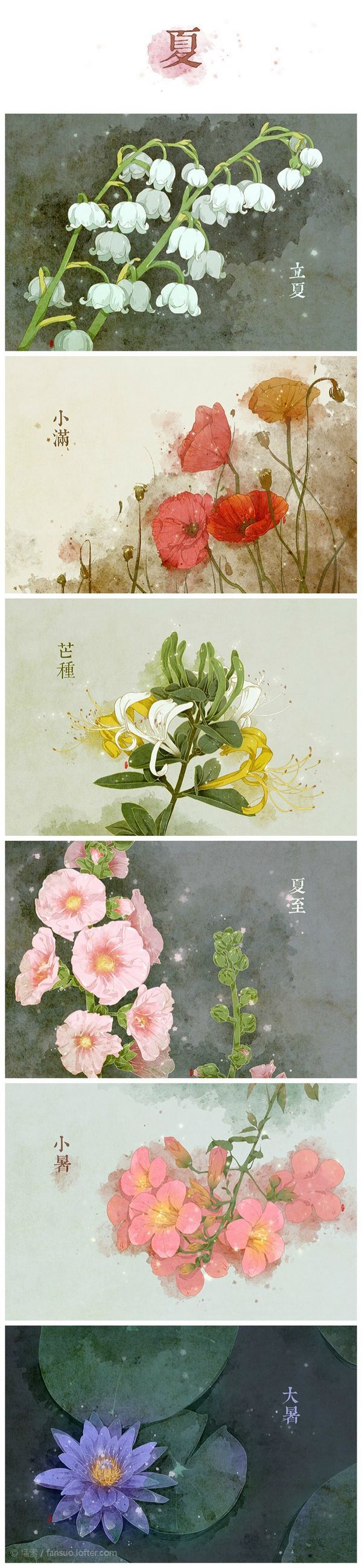 季节花