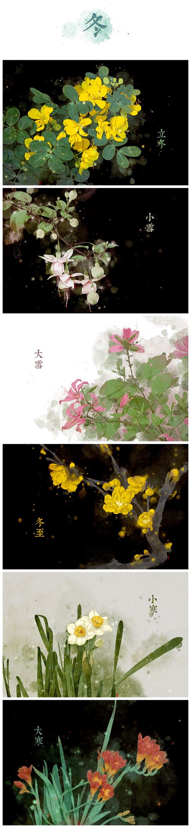 季节花