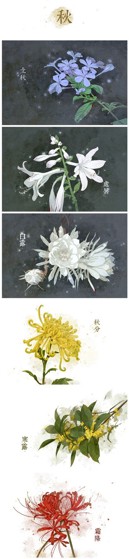 季节花