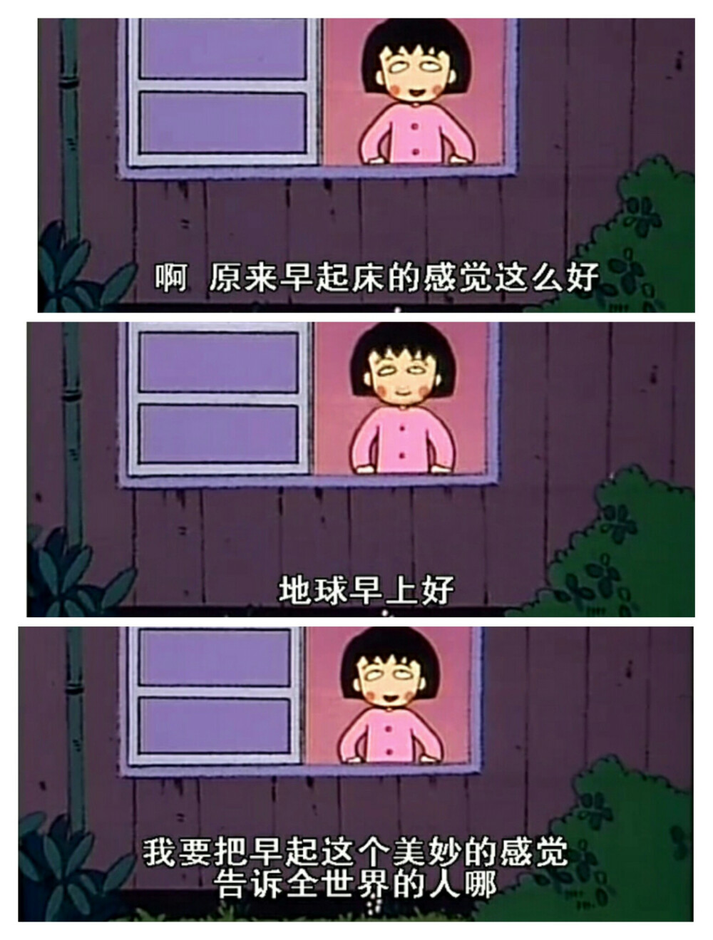 樱桃小丸子