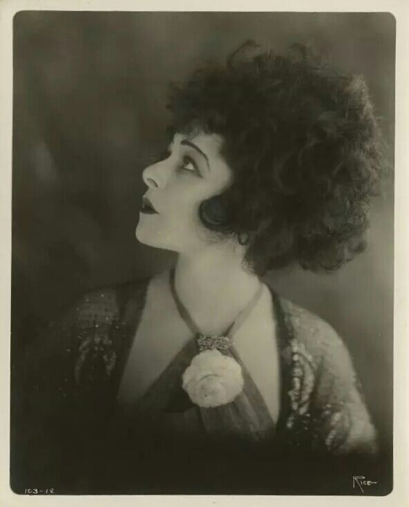 艾拉娜兹莫娃
Alla Nazimova 1879-1945年
俄罗斯裔美国默片女演员