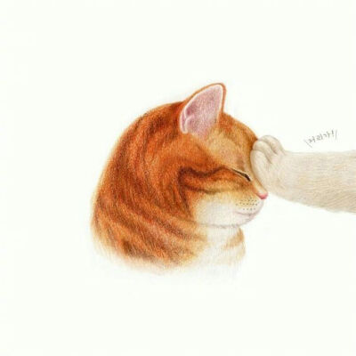 创意画廊韩国插画师 Keum Jim 猫咪插画