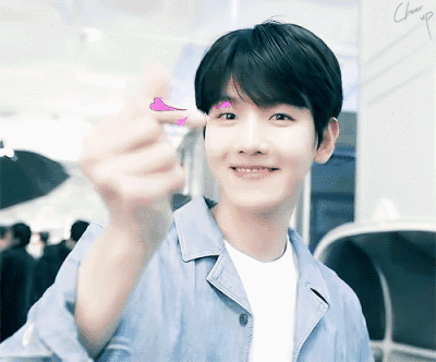 边伯贤表情包/GIF