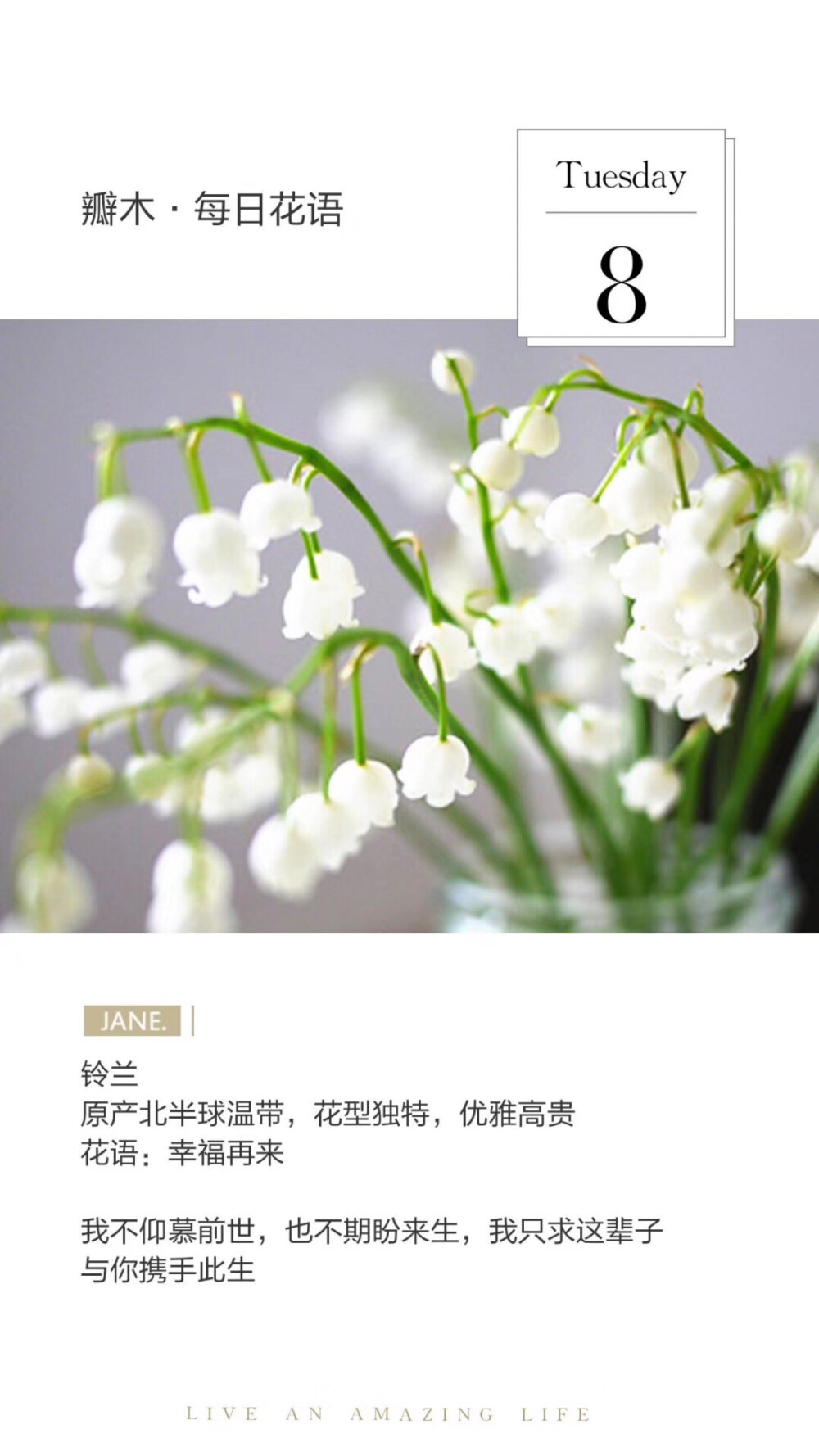 #瓣木·每日花语#
铃兰
原产北半球温带，花型独特，优雅高贵
花语：幸福再来
我不仰慕前世，也不期盼来生，我只求这辈子与你携手此生