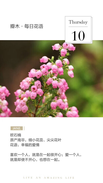 #瓣木·每日花语#
欧石楠
原产南非，细小花蕊、尖尖花叶
花语：幸福的爱情
喜欢一个人，就是在一起很开心；爱一个人，就是即使不开心，也想在一起。