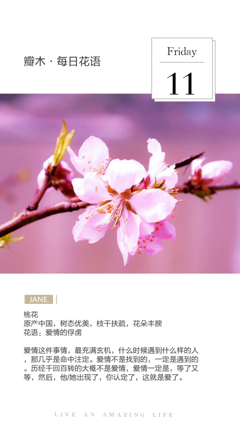 #瓣木·每日花语#
桃花
原产中国，树态优美，枝干扶疏，花朵丰腴
花语：爱情的俘虏
爱情这件事情，最充满玄机，什么时候遇到什么样的人，那几乎是命中注定。爱情不是找到的，一定是遇到的。历经千回百转的大概不是爱情，爱情一定是，等了又等，然后，他/她出现了，你认定了，这就是爱了。