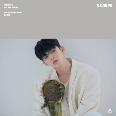 Seventeen S.coups 崔勝澈