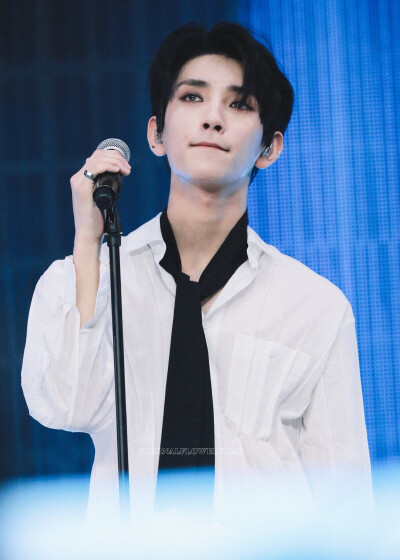 Seventeen Joshua 洪知秀