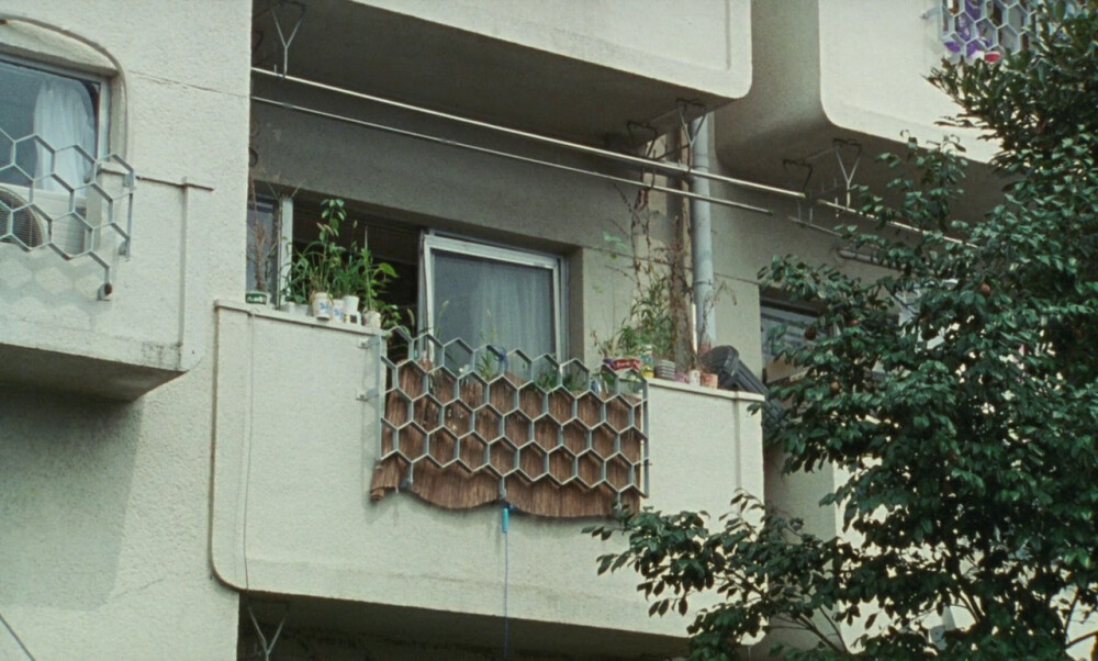 是枝裕和 |《无人知晓》里的空镜