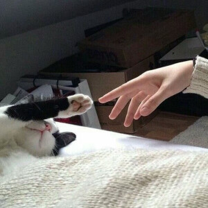 小喵