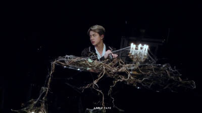 #防弹少年团# 哥 这个发型 求你做个半永久的吧