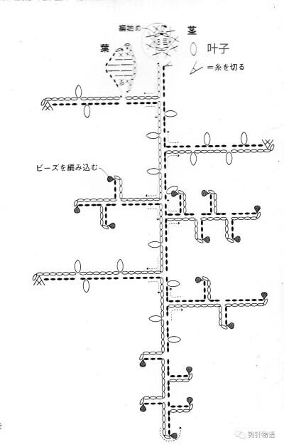 叶子