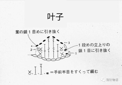 叶子