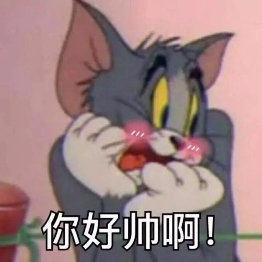 猫和老鼠