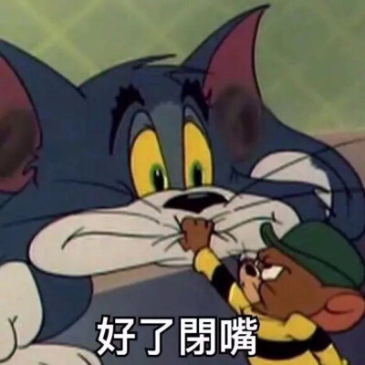 猫和老鼠