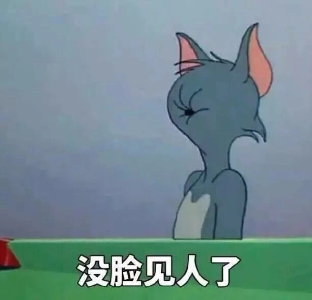 猫和老鼠