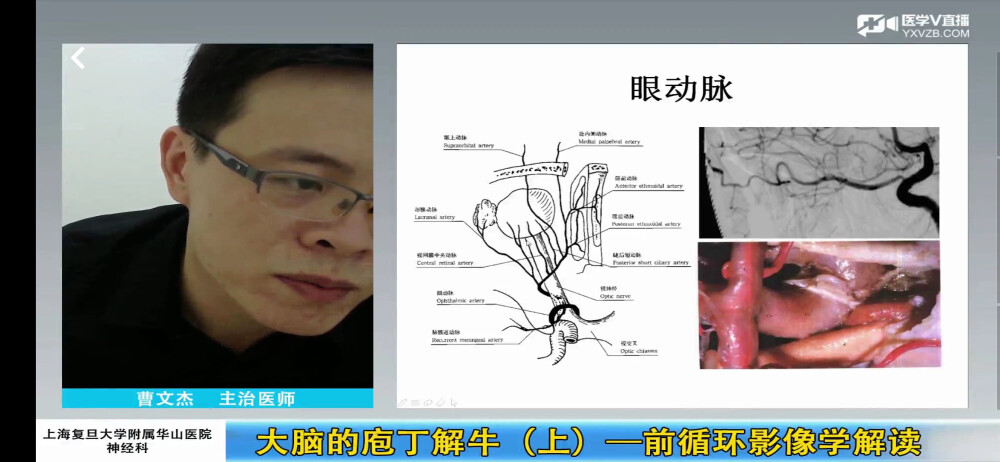 今天科里姐姐说霍还是要乐乐回来才行，乐乐不在时不说几句话，愁眉苦脸；乐乐一回来话多了，嘴角上扬。有点甜