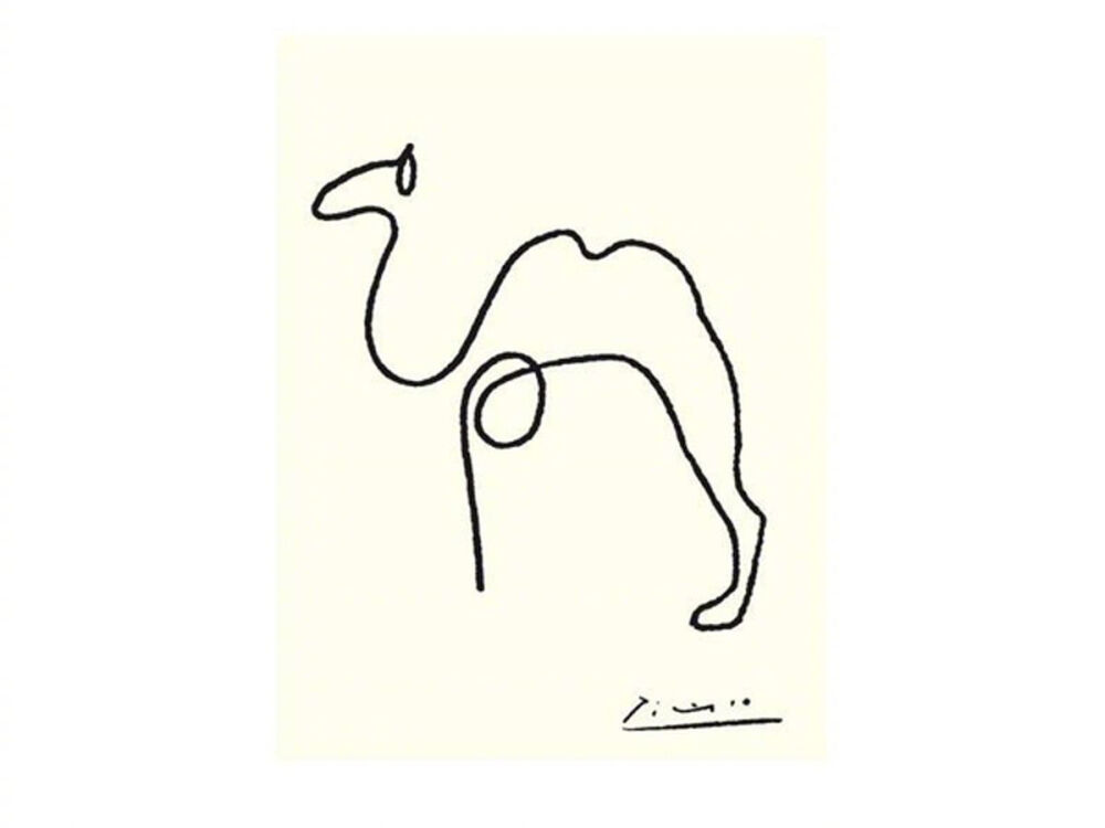 Picasso Line Drawing