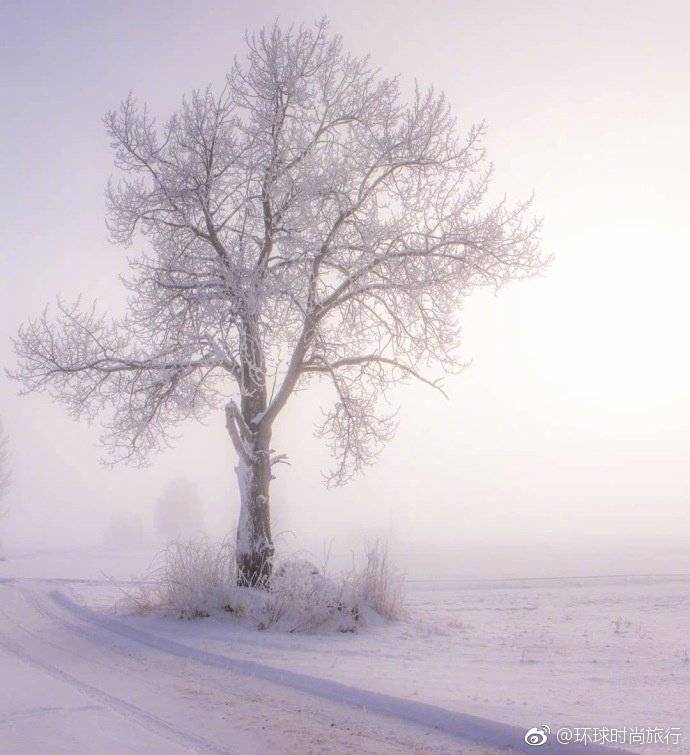 芬兰下雪了。