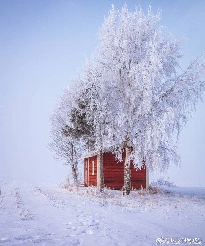 芬兰下雪了。