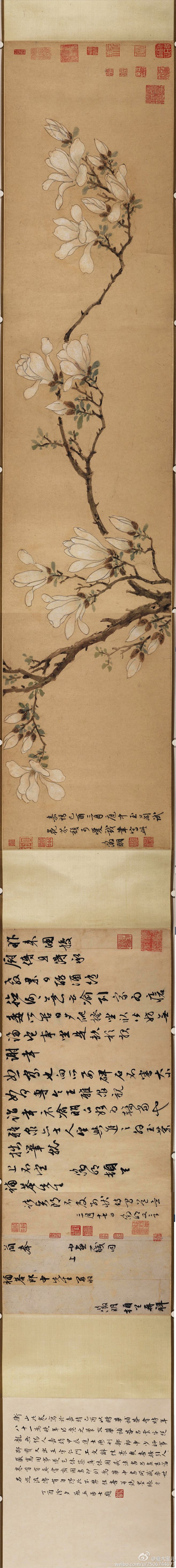 明 文征明《玉兰图卷》纸本 设色 横：133cm 纵：27.9cm 藏美国大都会艺术博物馆。
绰约新妆玉有辉，素娥千队雪成围，我知姑射真仙子，天遗霓裳试羽衣，影落空阶初月冷，香生别院晚风微，玉环飞燕元相敌，笑比江梅不恨肥。