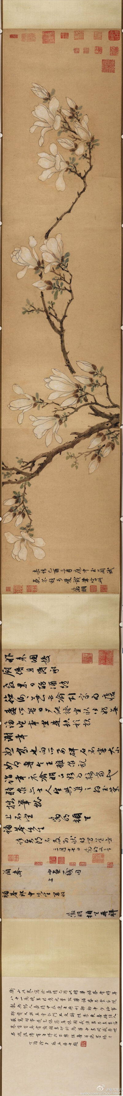 明 文征明《玉兰图卷》纸本 设色 横：133cm 纵：27.9cm 藏美国大都会艺术博物馆。
绰约新妆玉有辉，素娥千队雪成围，我知姑射真仙子，天遗霓裳试羽衣，影落空阶初月冷，香生别院晚风微，玉环飞燕元相敌，笑比江梅不…