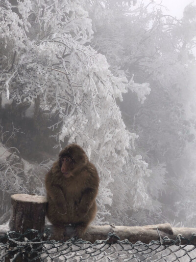 峨眉山