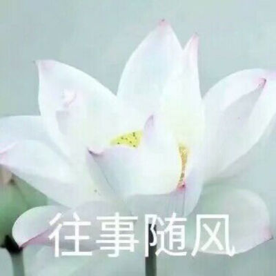 沙雕情头