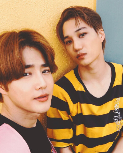 SUHO KAI