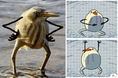 GIF