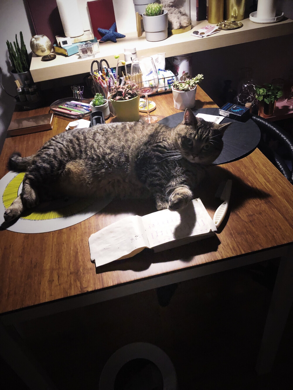 【Judy】1.13:一枚躺在桌子上吹空调的胖纸～