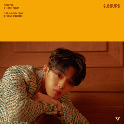 Seventeen S.coups 崔勝澈