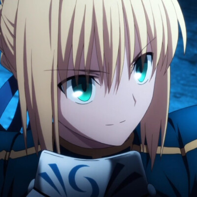 《Fate/Zero》