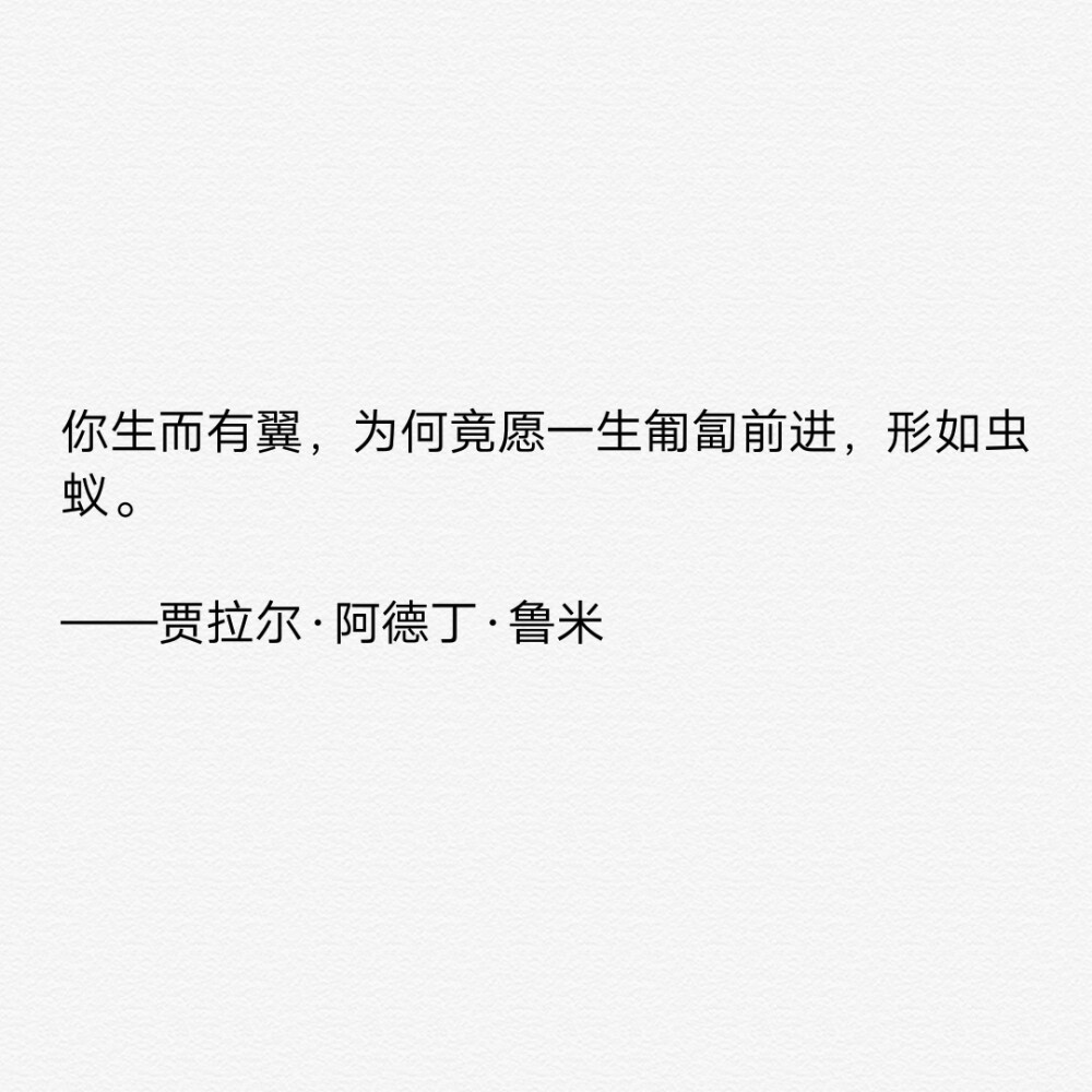 我所理解的生活
就是和自己喜欢的一切在一起