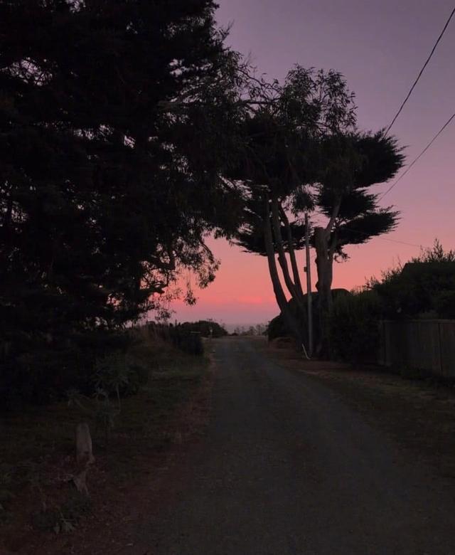 我以为你晚上才会来，没想到你是披着夕阳来的。
——杜海浪《约会专家》