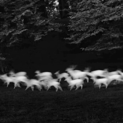 我在等你回家，无论多久我都愿意等。
“等你音信全无，我再去爱这世间万物。”可你早已杳无音讯，我却对世间万物提不起丁点爱意。
《寻梦环游记》里说，爱的反义词不是不爱，而是遗忘，我不会忘了你，因为我一直爱着…