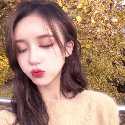 二传注明 顾诗恬