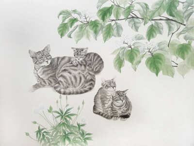 猫咪 绘画 画师LEE JEONGHUI作品