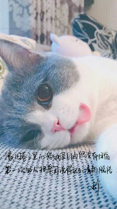 今天是单身专辑