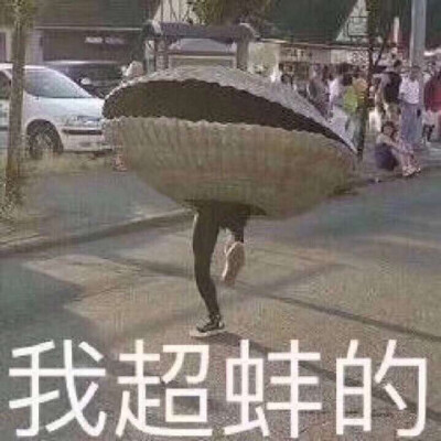 今天阳光超好