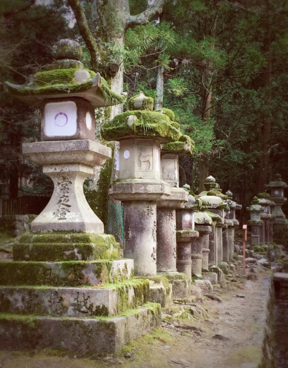 室内 室外 格调 复古 创意