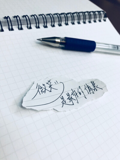 海龜寶寶手寫