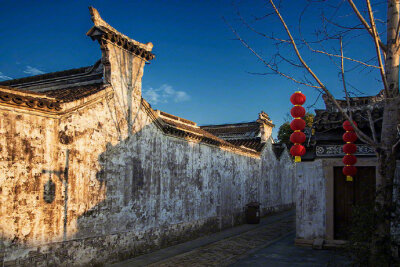 我住的地方，闹中取静，闲情自生。有树叶儿落在檐下，绿色滋养着我的眼睛，我拾起一片，她在笑，叶脉成诗。