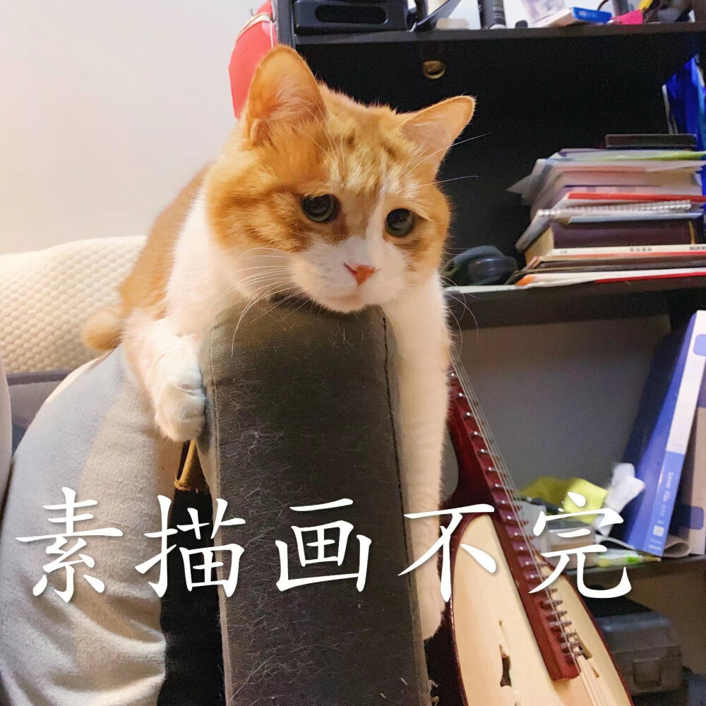 是你吗