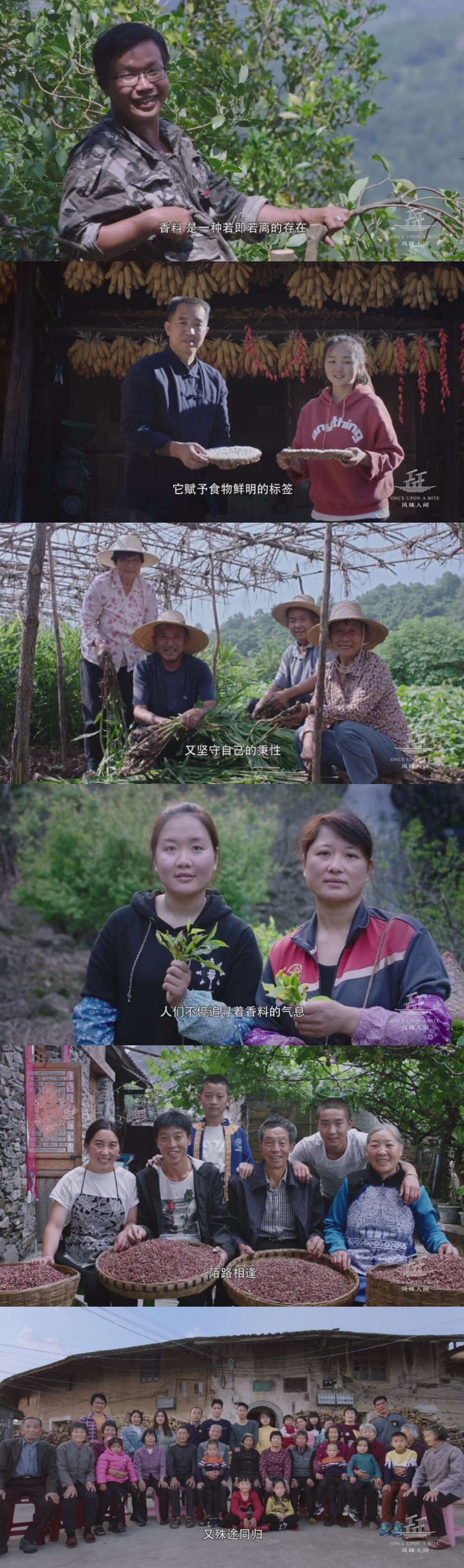 风味人间