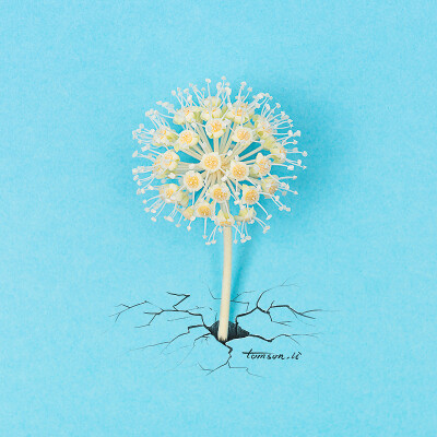 日常创意插画 By_Tomson.li_站酷