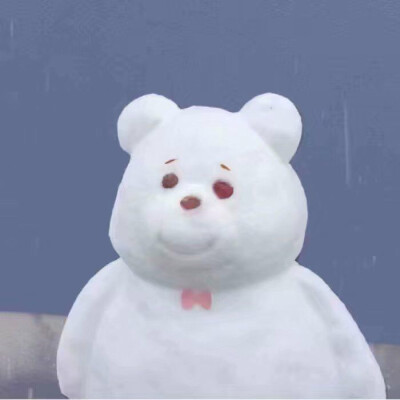 ♡巨熊♡可爱动漫头像