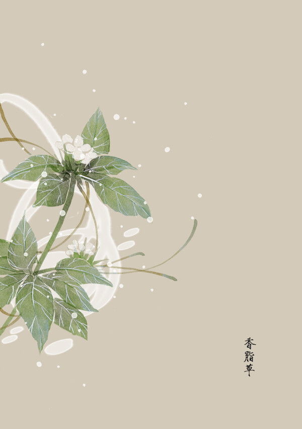 植物。