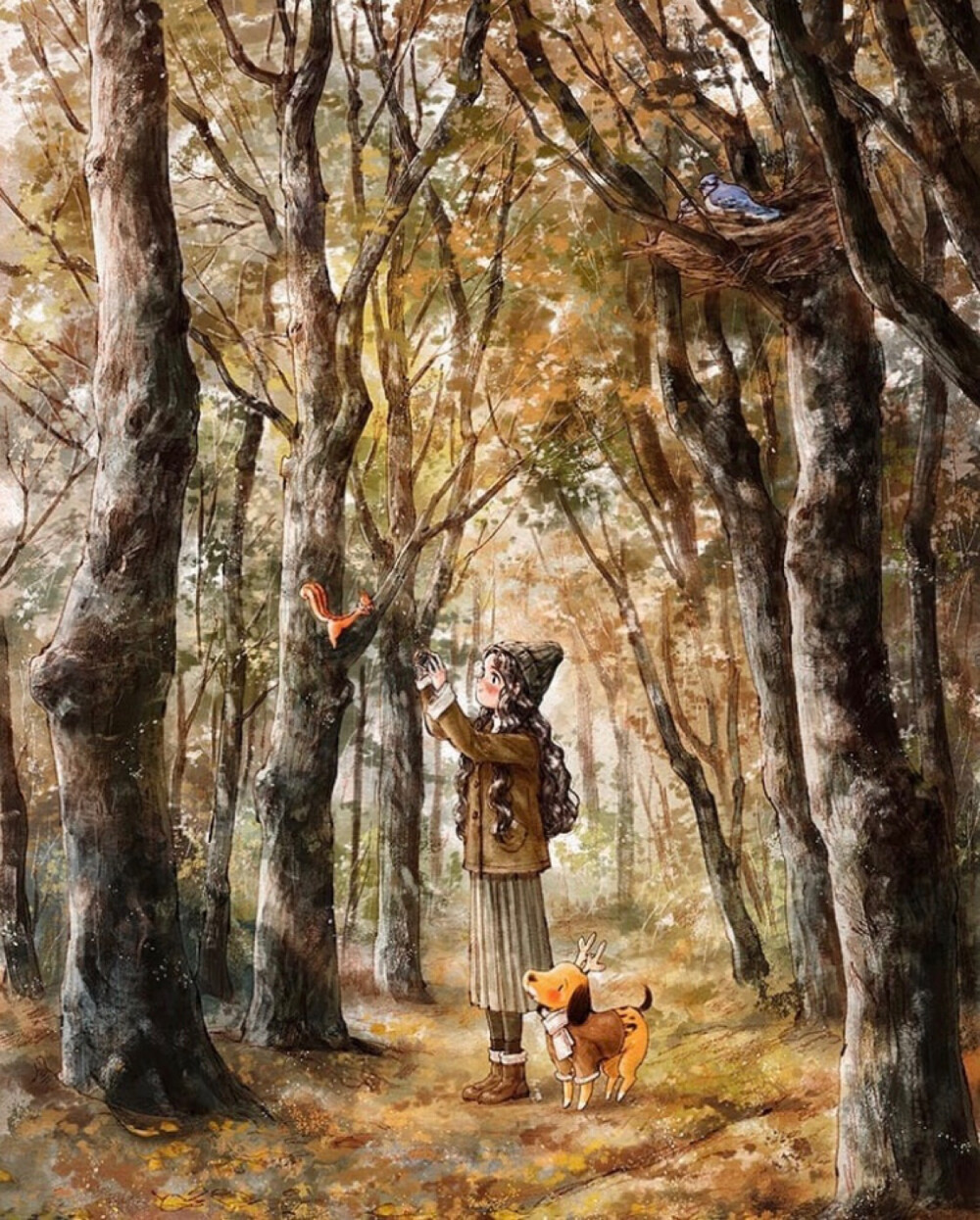 森林女孩——Aeppol