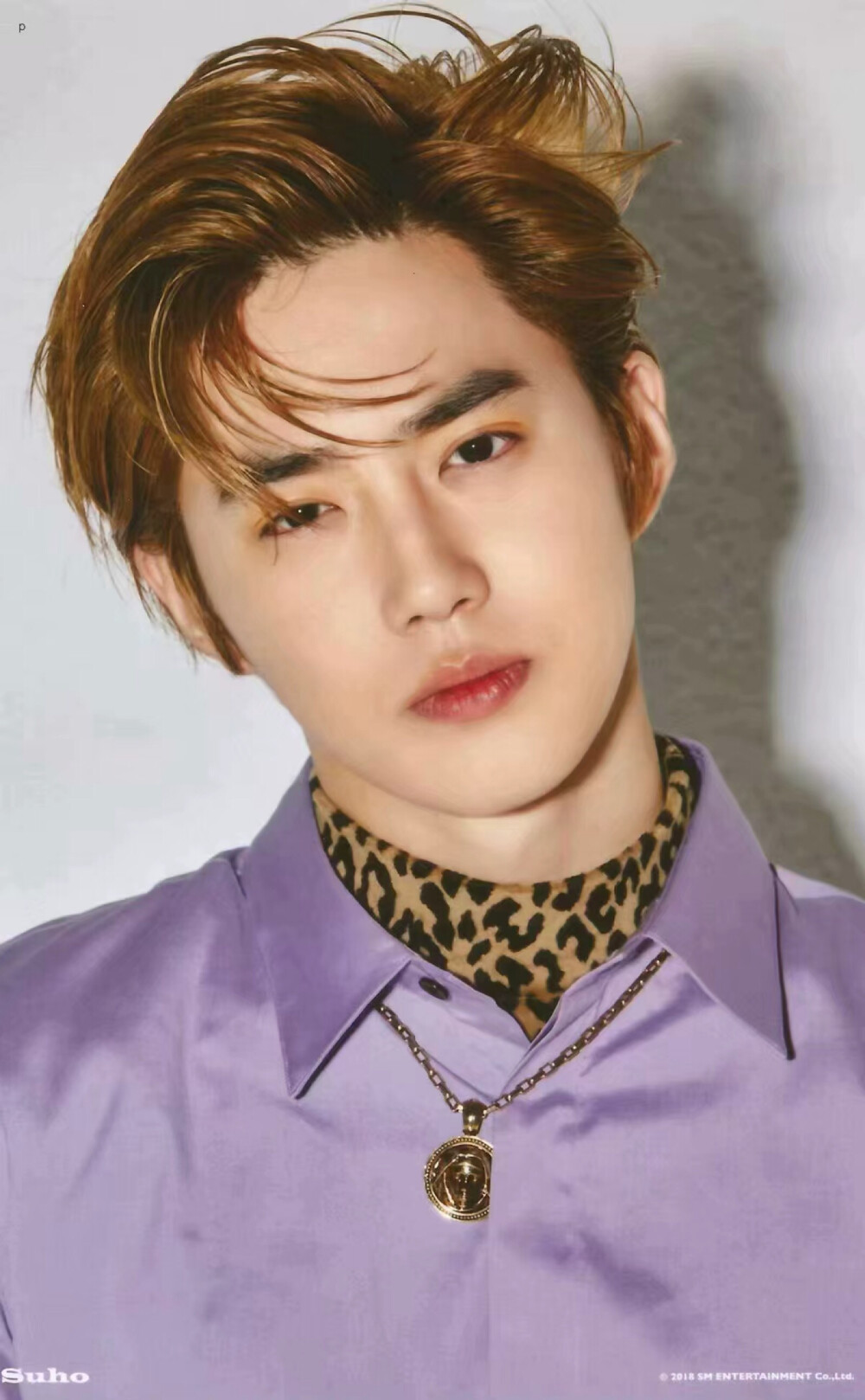 exo suho 金俊绵